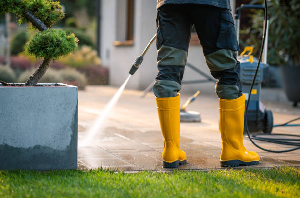  Mitchellville, IA Pressure Washing Pros